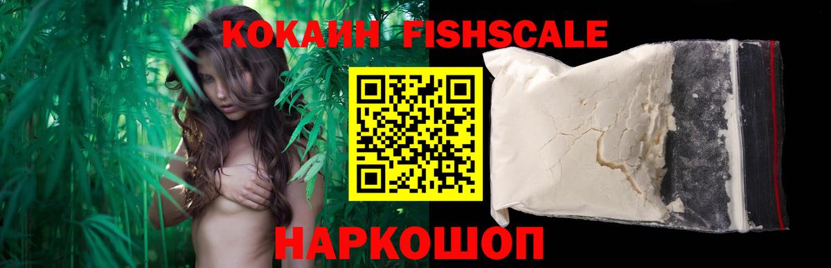 КОКАИН 97%  Кокаин FishScale  закладки  Будённовск 