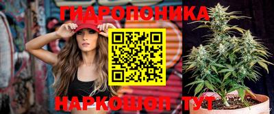 экстази Можга