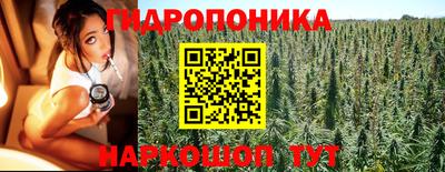сатива Моздок