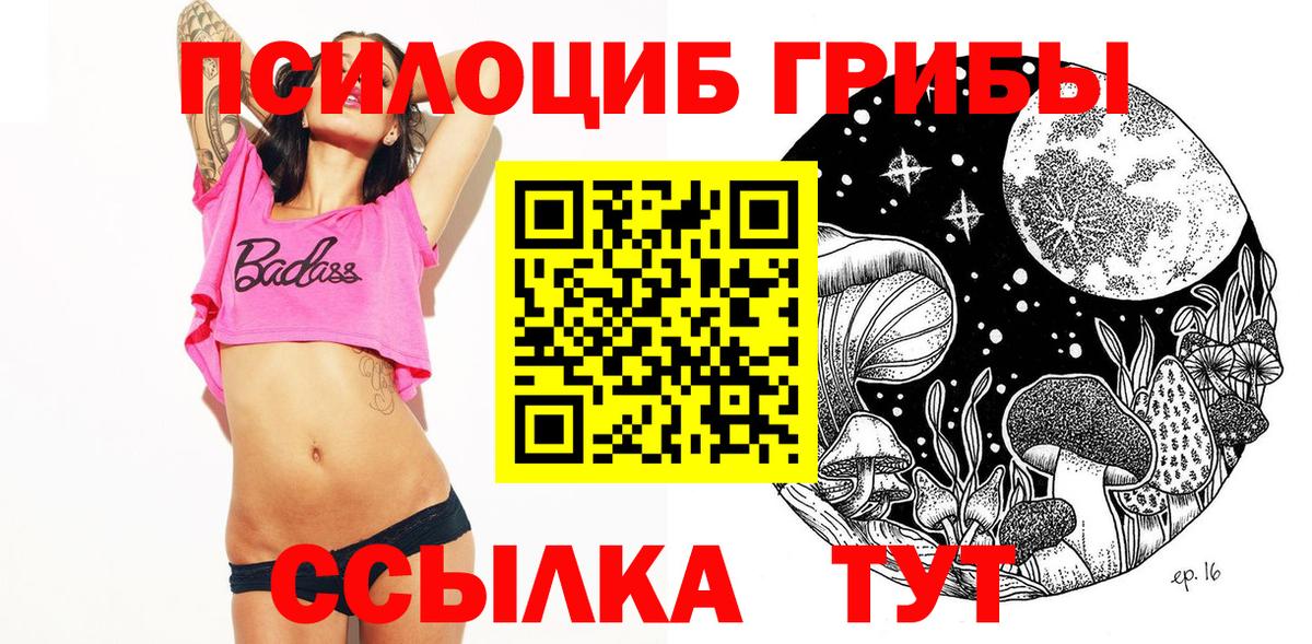 Псилоцибиновые грибы Psilocybine cubensis Будённовск