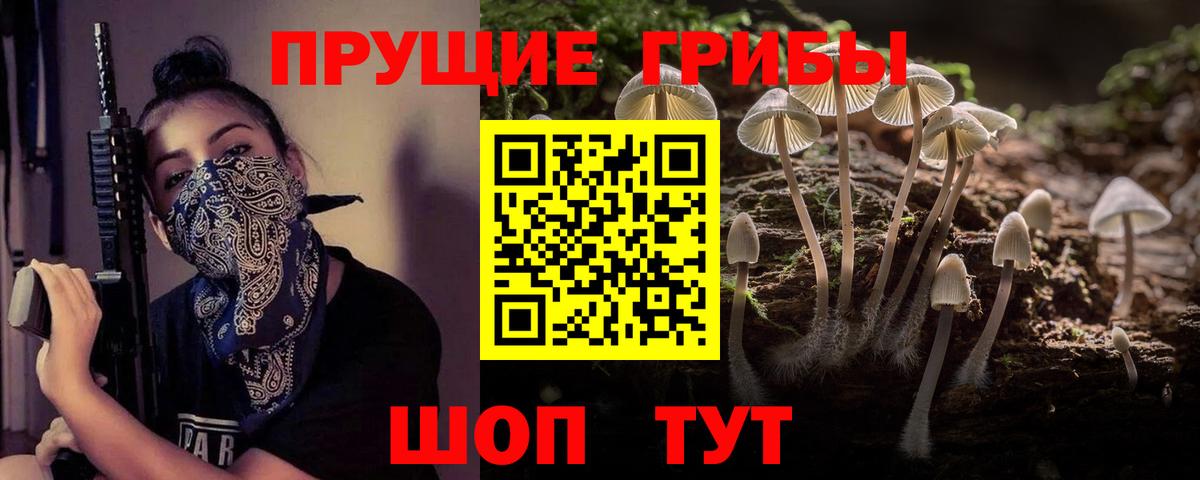 купить наркотик  Псилоцибиновые грибы мицелий  Вход с VPN  Будённовск 